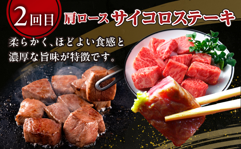 【3か月定期便】宮崎牛ステーキ定期便_Tk031-t022