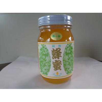 ふるさと納税 恵那市 はちみつ　600g×1