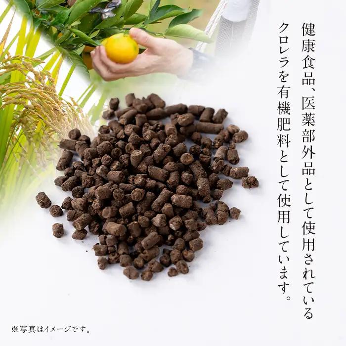 i873-B ＜先行予約受付中！2026年10月下旬~11月下旬の間に発送予定＞【訳あり】クロレラ米（あきほなみ 玄米・5kg×2袋・計10kg) 米 お米 10kg 玄米 訳あり あきほなみ クロレ