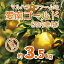 【ふるさと納税】 訳あり マルハラファーム 河内晩柑 3.5kg 発送期間: 4月中旬～8月下旬 (なくなり次第終了) みかん かわちばんかん 愛南ゴールド 柑橘 グレープフルーツ 和製 果物 フルーツ 愛媛 愛南 産地直送 国産 農家直送 文旦 数量限定 人気 限定 甘い 柑橘 規格外