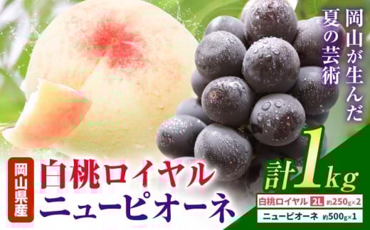 【先行予約】岡山県産 白桃ロイヤル ニューピオーネ 詰合せ 選べる 計1kg 株式会社はちや《7月上旬‐8月下旬頃出荷》岡山県 浅口市 白桃 桃 ぶどう 葡萄 フルーツ ギフト 果物 デザート 国産【配送不可地域あり】