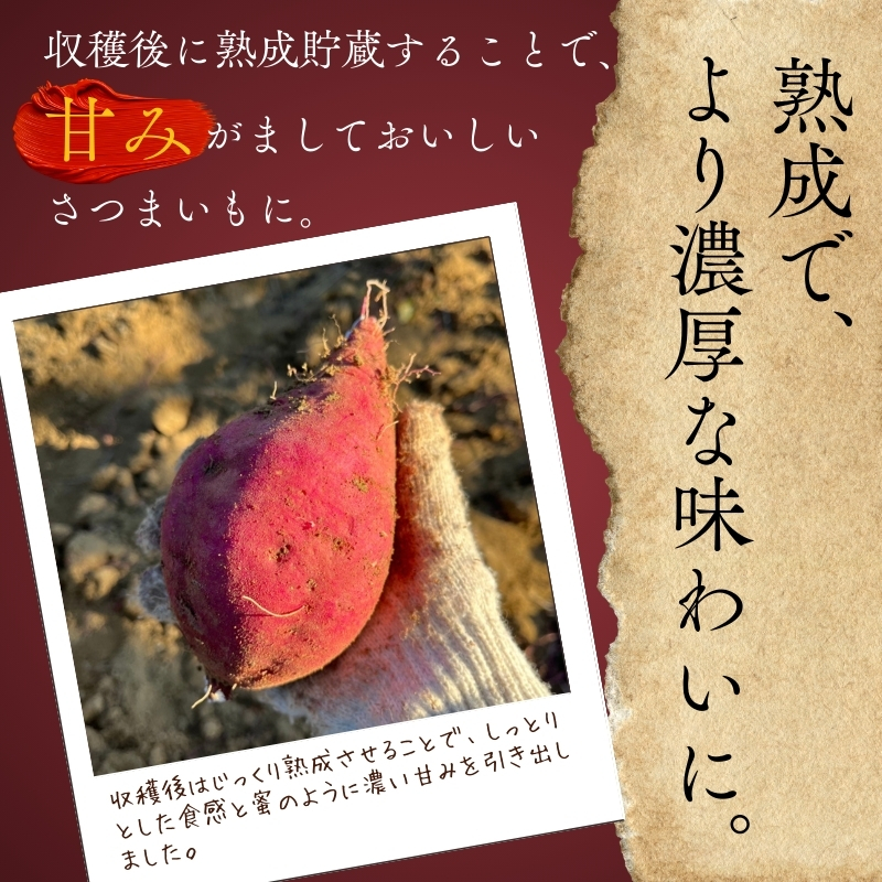 紅はるか さつまいも 生芋 10kg ｜ 熟成 数量限定 甘い 焼き芋 バター焼き サラダ 天ぷら スイーツ スイートポテト 大阪 河内長野 中村オリジナルぶどう園 訳あり 料理 国産 野菜 食育_イ
