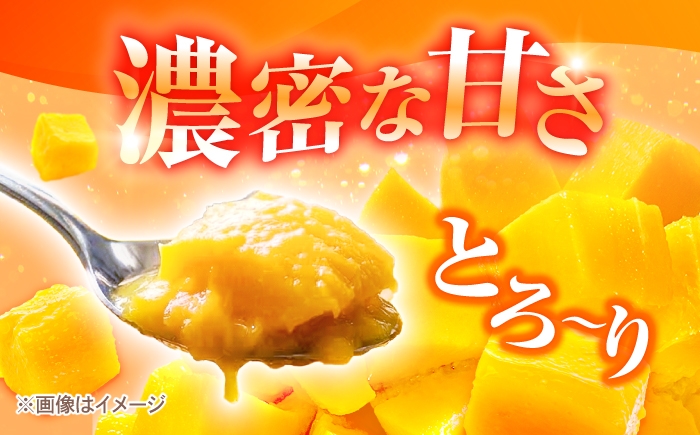 沖縄県産 完熟マンゴー 訳アリ 1kg (2〜3玉) マンゴー 沖縄 果物 フルーツ ギフト まんごー 訳あり 家庭用 