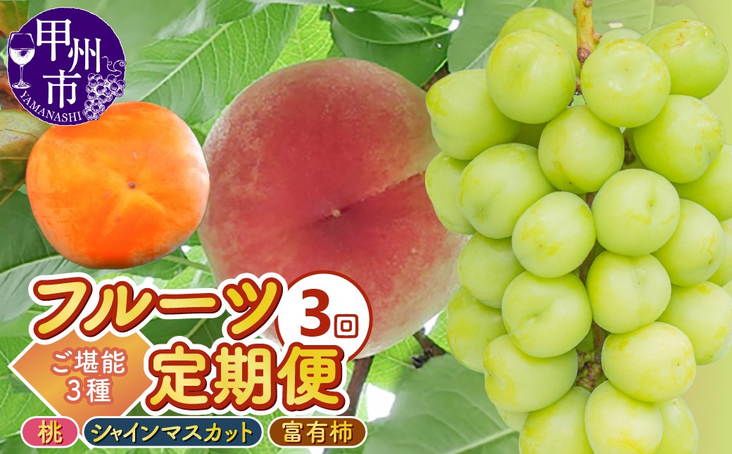 
                  【定期便】3回フルーツ定期 桃約2.0kg（5～8玉）シャインマスカット約1.0kg（2房）富有柿約2.5kg（9～12個）ご堪能3種セット【2026年発送】（KKK）C8-830 【桃 もも モモ シャインマスカット 葡萄 ぶどう ブドウ 令和8年発送  山梨県産 甲州市 フルーツ 果物 山梨】
                