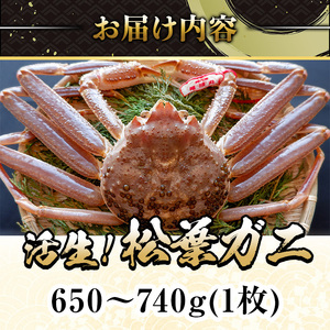 ＜平日着※指定日不可＞＜期間限定＞＜11月中旬～3月中旬発送予定＞松葉ガニ 活生(650〜740g・1枚)海鮮 かに カニ 蟹 松葉ガニ 松葉がに 松葉蟹 ずわいがに ズワイガニ 活生 海の幸【sm-