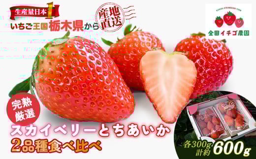 【数量限定】 いちご食べ比べセット スカイベリー300g＆とちあいか300g | いちご イチゴ 苺 大粒 大きい 赤い 甘い 完熟 厳選 評判 新鮮 フルーツ 果物 スイーツ 好評 人気 アフター対応あり 生産量 日本一 栃木県産 糖度 濃厚 いちご王国 栃木県