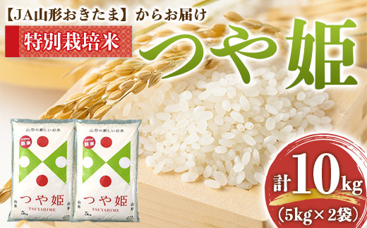 
            JA 特別栽培米 つや姫 10kg (5kg×2袋) 『JA山形おきたま』 山形置賜産 米 精米 山形県 南陽市 [639]
          