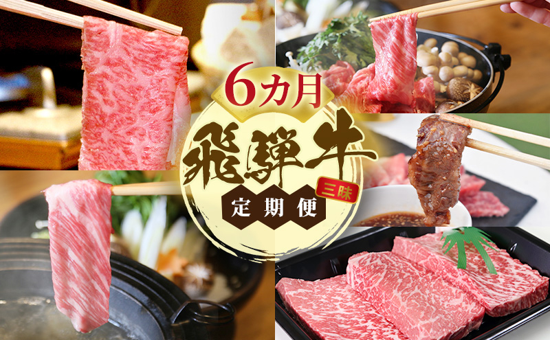 
            飛騨牛 A5 大満足 飛騨牛三昧 6か月 定期便 ｜飛騨 飛騨高山 肉 ステーキ肉 ステーキ バラ バラ肉 切り落とし 牛 牛肉 ブランド牛 おかず 料理 夜ご飯 晩ご飯 すき焼き しゃぶしゃぶ 焼き肉 焼肉 人気 お取り寄せ
          