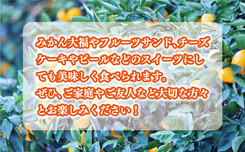 先行予約 愛媛みかん 10kg 24000円 愛媛 みかん 温州みかん こたつ みかん mikan 蜜柑 ミカン 家庭用 贈答用 ギフト プレゼント お歳暮 産地直送 国産 農家直送 糖度 期間限定 