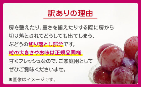 【先行予約】訳あり クイーンニーナ ぶどう 切り落とし 約1kg  【合同会社 社方園】 訳あり 赤ぶどう 赤系ぶどう 1kg 家庭用 葡萄 クイーンニーナ 訳ありぶどう 訳あり赤ぶどう 訳ありクイー