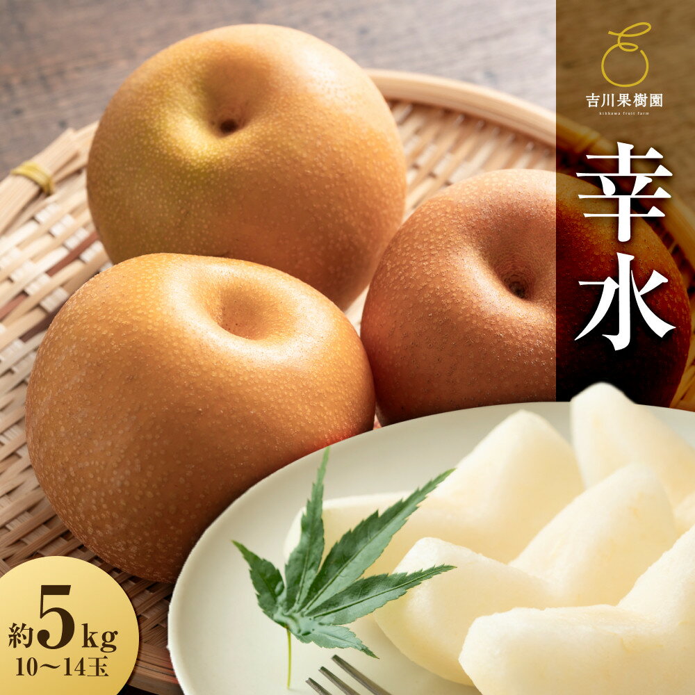 【ふるさと納税】【先行予約】幸水 約5kg（10～14玉）8月中旬～順次発送【吉川果樹園】 | フルーツ 果物 くだもの 食品 人気 おすすめ 送料無料