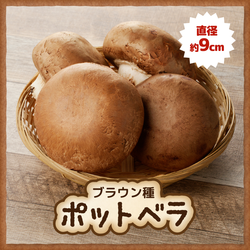 無農薬・無漂白栽培　長谷川農産の美味しいマッシュルームセット 産地直送（1039）