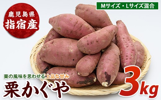 【2026年11月上旬以降～順次発送】らくと農園の栗かぐや約3kg(らくと農園/IB084-004) さつまいも おやつ さつま芋 焼芋 やきいも 焼きいも スイーツ