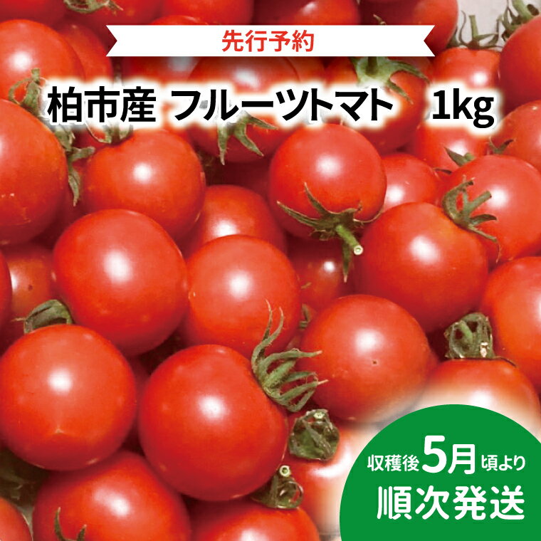 【ふるさと納税】【先行予約】【2025年5月発送】 トマト フルーツトマト 1kg セット 野菜 国産 千葉県産 柏市産 甘い おいしい 美味しい 新鮮 おすすめ 旬 産地直送 リコピン サラダ 大量 予約