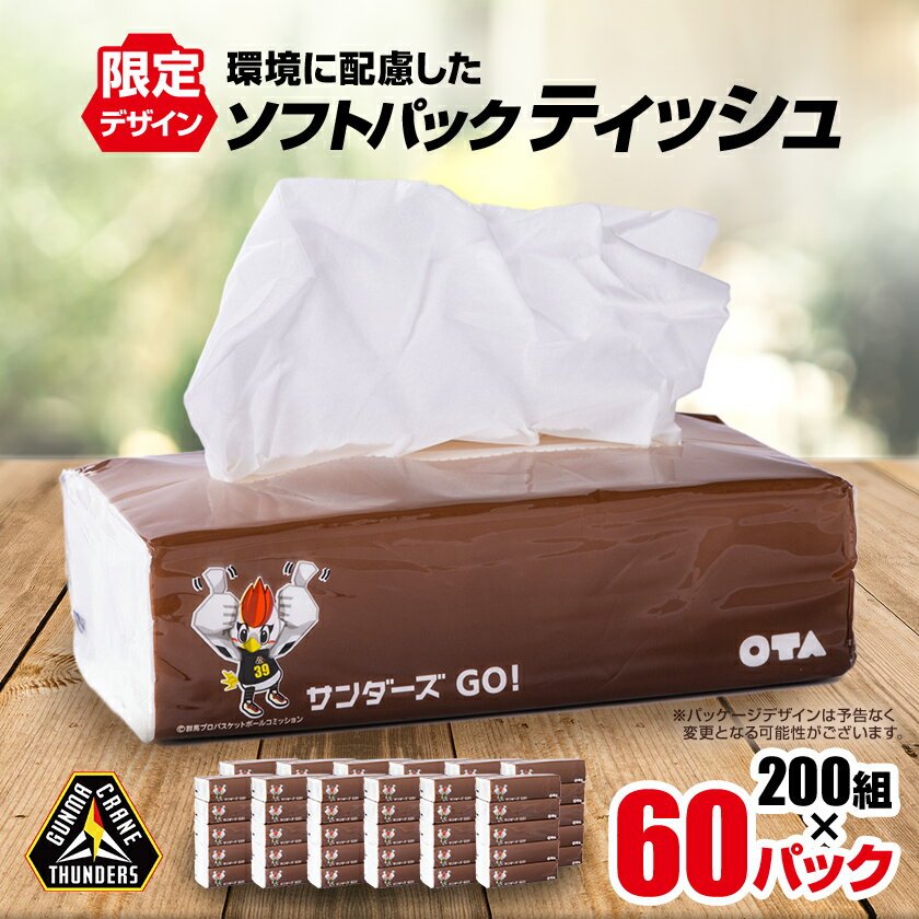 【ふるさと納税】群馬クレインサンダーズ応援ソフトパックティッシュ 400枚(200組)×60パック_ ティッシュ ティッシュペーパー ソフトパック まとめ買い ソフト 箱なし 群馬県 太田市 ふるさと 【配送不可地域：離島・沖縄県】【1422589】