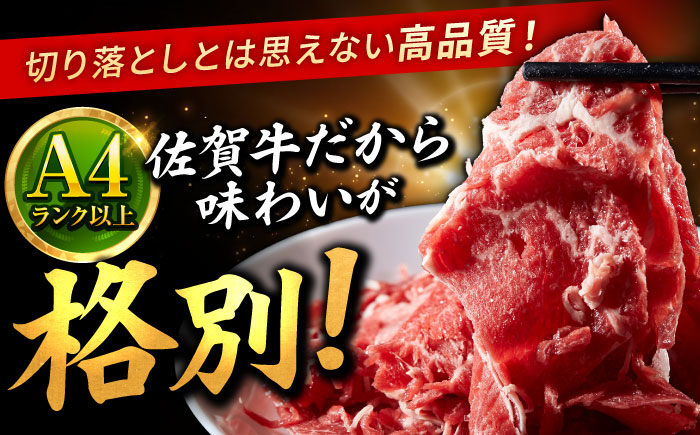 佐賀牛 切り落とし 400g × 2パック 計 800g 牛肉 肉 小分け 吉野ヶ里町/上場食肉 [FDQ009]