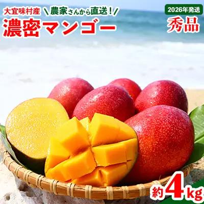 マンゴー【2026年発送】濃密マンゴー《秀品・約4kg》
