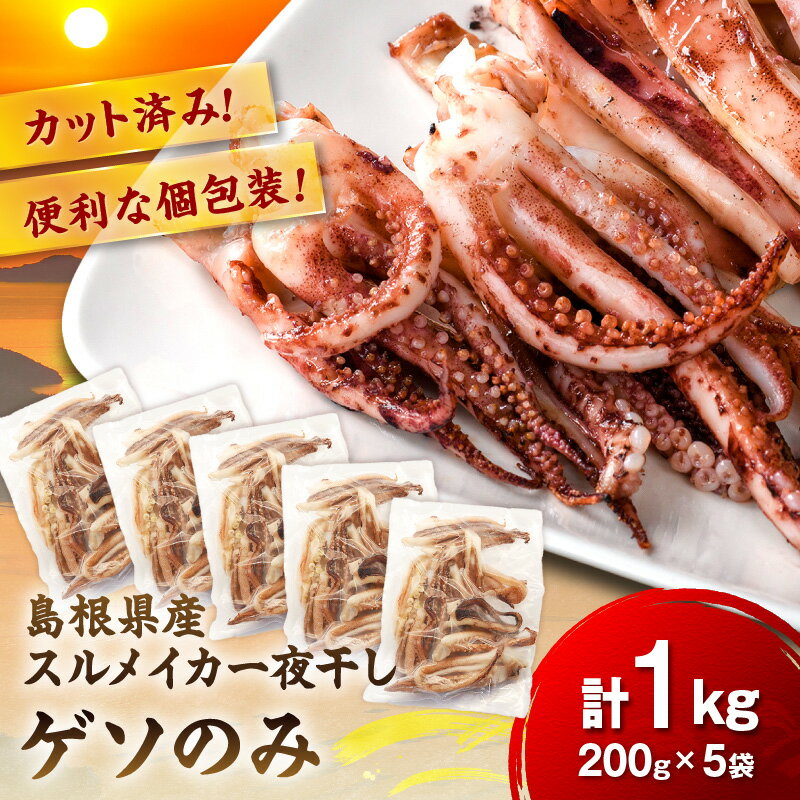 【ふるさと納税】【訳あり】スルメイカ一夜干し”ゲソのみ” 計1kg（小分け200gx5袋）ふるさと納税 干物 イカゲソ 国産 人気 大容量 小分け 訳あり 塩味付 いか おつまみ 一夜干し 【005_0140】