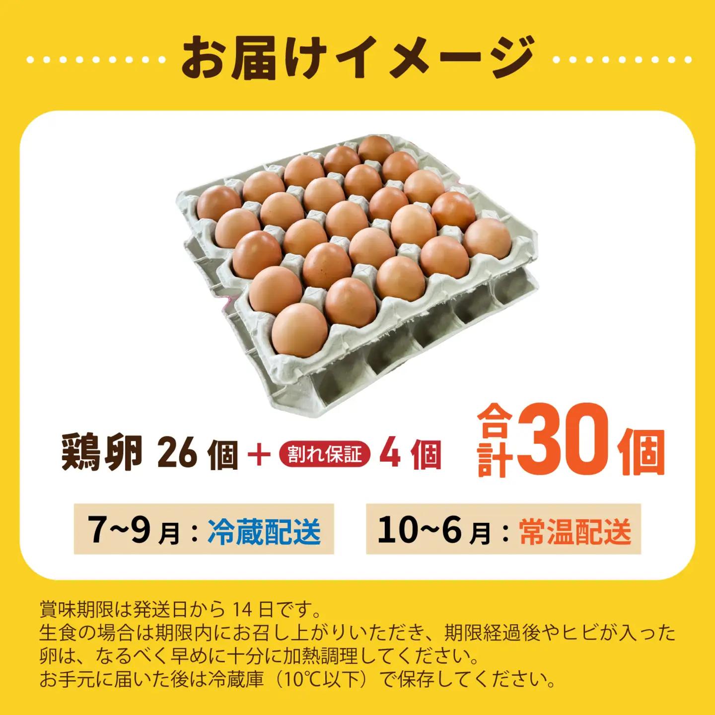 こだわり卵 オクノのたまご 30個 / 卵