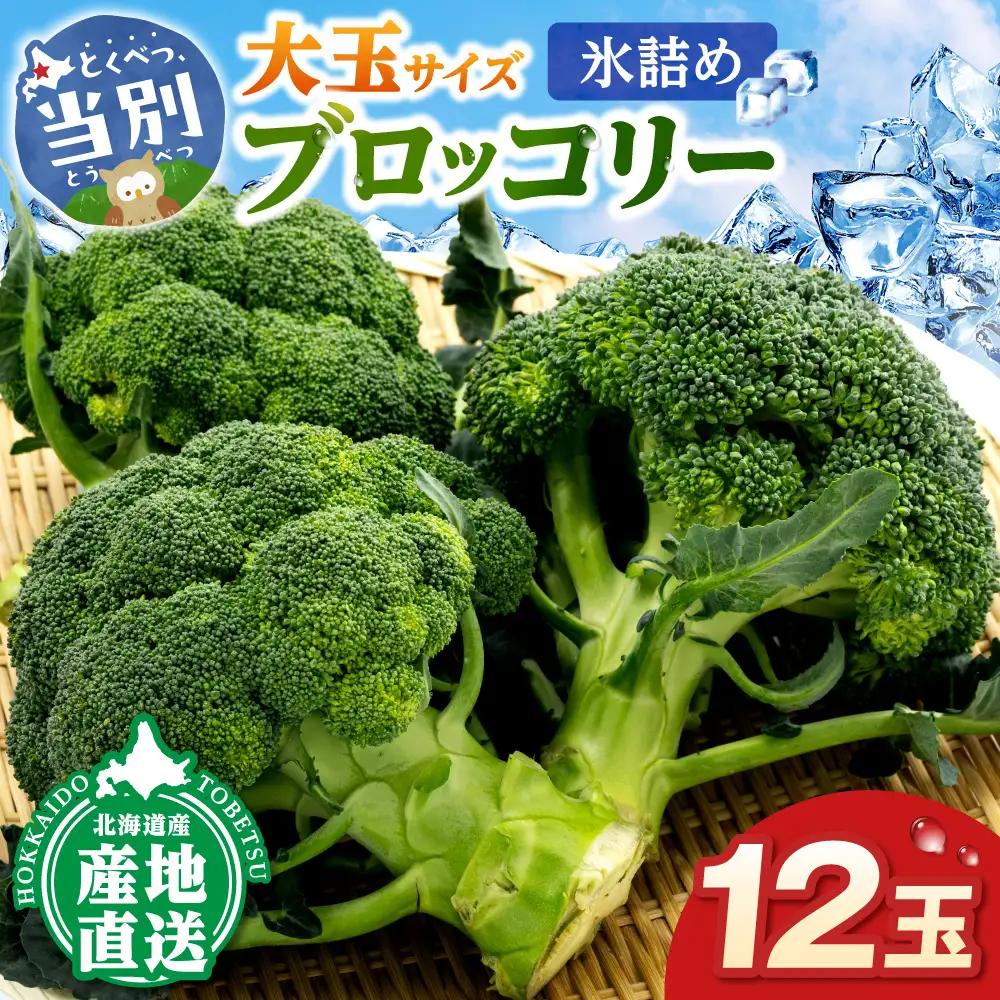 氷詰めブロッコリー縦置き12玉 大玉ぶろっこりー