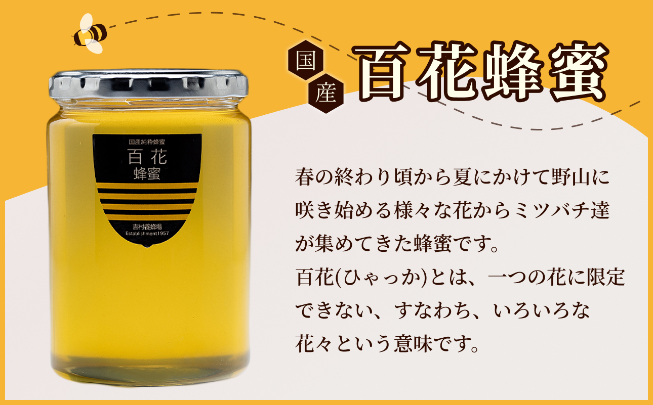 備前産 令和8年採取 純粋蜂蜜セット6（百花蜂蜜480g×1本）【のし可 はちみつ 蜜 ハチミツ 備前市】
