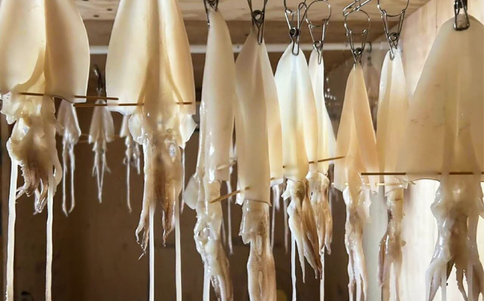 白イカ(ケンサキイカ)の一夜干し3枚セット 島根県松江市/海ひこ株式会社 [ALDY006]