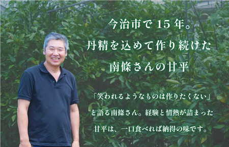 【先行予約】マルハ果樹園　甘平　4L～3L　8～10玉　ハウス栽培　＼超売れ筋商品／ 愛媛県 今治産　国産 高級フルーツ みかん 柑橘 フルーツ 果物　贈答用 かんぺい フルーツギフト 愛媛みかん 高