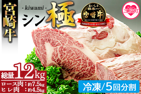 ＜宮崎牛『シン極(きわみ)』ロース肉約7.5kg、ヒレ肉約4.5kg (冷凍・5回分割)＞ 国産ブランド牛 黒毛和牛【MI019-nk-i-05】【中村食肉】