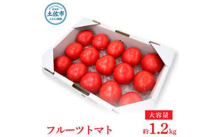 先行予約 お徳用 フルーツトマト1.2kg トマト [BQAG008]