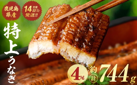 鹿児島県産うなぎ蒲焼 (計約744g / 約186g×4尾) 鰻 ウナギ うなぎ【薩摩川内鰻】 A1110-v01