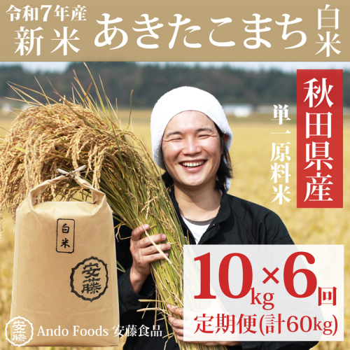 《令和7年産 新米先行受付》《定期便6ヶ月》秋田県産 あきたこまち 10kg(10kg×1袋)×6回【白米】計60kg 令和7年産