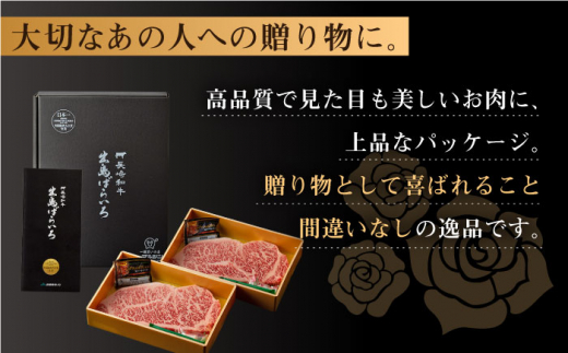 【全12回定期便】長崎和牛「出島ばらいろ」特選霜降 サーロインステーキたっぷり500g【合同会社肉のマルシン】 [QBN021]