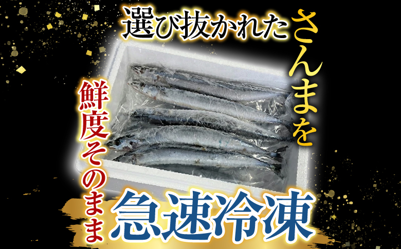 【北海道根室産】冷凍さんま5尾×8P(計40尾) C-76001