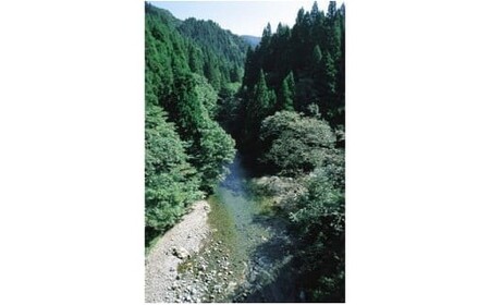 令和7年産 特別栽培米コシヒカリ 「仙見米」10kg | 新潟県 五泉市