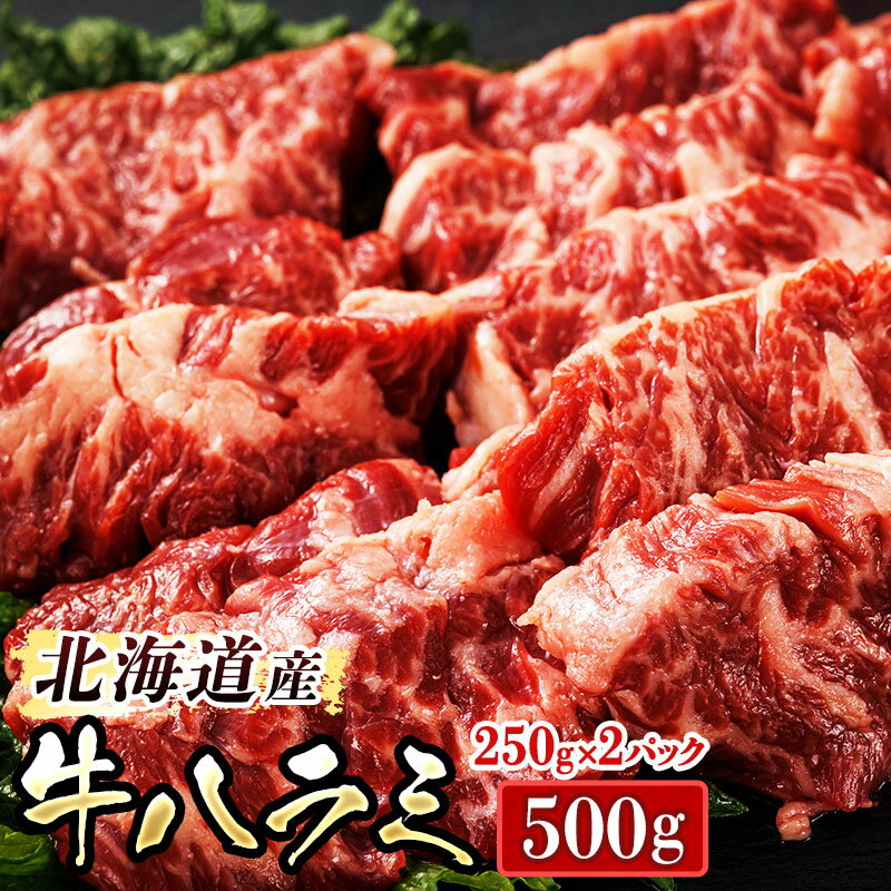 【ふるさと納税】＼希少／ 北海道産 牛ハラミ 計500g ＜250g×2パック＞ 職人 手切り 人気 アウトドア キャンプ BBQ にも おすすめ 焼き肉 焼肉 焼肉セット 焼肉用 小分け ホルモン 北海道 釧路町 釧路超 特産品 br03