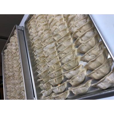 ふるさと納税 十日町市 こだわり餃子にんにく(冷凍生餃子) |  | 01