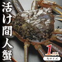 【ふるさと納税】高評価★5.0 高レビュー★ 京都・京丹後市産 幻のタグ付き 活け間人蟹【厳選】大サイズtaizakani900　1匹入り 松葉ガニ 間人ガニ 活け間人蟹 天然 900〜1kg かにしゃぶ カニ刺し しゃぶしゃぶ 冷蔵 間人がに 間人かに 活かに 生かに たいざがに 生 松葉がに