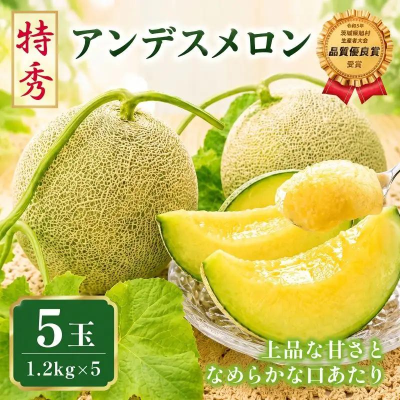 【2027年先行予約】 アンデスメロン 5玉 約6kg 青肉メロン 特秀