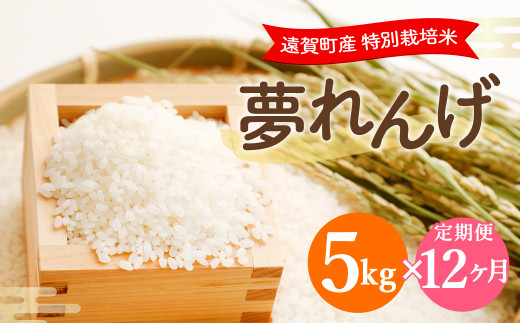 【12ヶ月定期便】 特別栽培米 夢れんげ 5kg×1袋 合計60kg 精米 米 コメ 定期便 【2025年10月下旬発送開始】