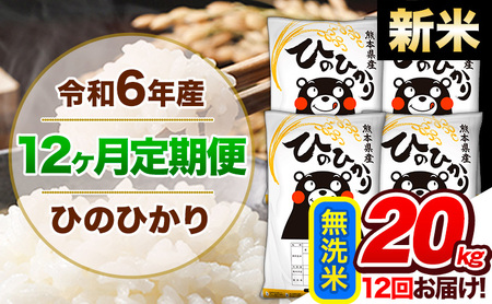 【12ヶ月定期便】令和6年産 新米 定期便 無洗米 ひのひかり20kg 《申込み翌月から発送》令和6年産 熊本県産｜人気米 熊本県産米 お米 生活応援米