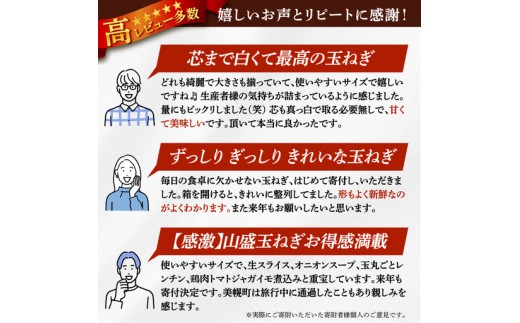 【2026年10月上旬以降発送】 玉ねぎ 2L サイズ 2kg ( 令和8年度産 タマネギ 玉ねぎ 玉ネギ 玉葱 オニオン スライス サラダ 野菜 スープ 肉じゃが 煮物 ハンバーグ すりおろし 甘い
