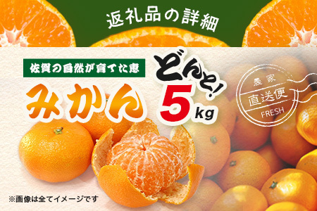 【先行予約】【発送は2026年9月中旬から10月上旬ごろ】佐賀県産みかん”約5kg（箱込み重量）｜【数量限定】混合サイズ｜濃縮旨み ｜ 国産 佐賀県産 ミカン 蜜柑 果物 フルーツ 送料無料 A-22