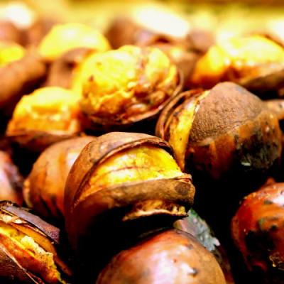 ふるさと納税 丹波篠山市 丹波篠山産熟成丹波栗 L以上混在 1kg |  | 03