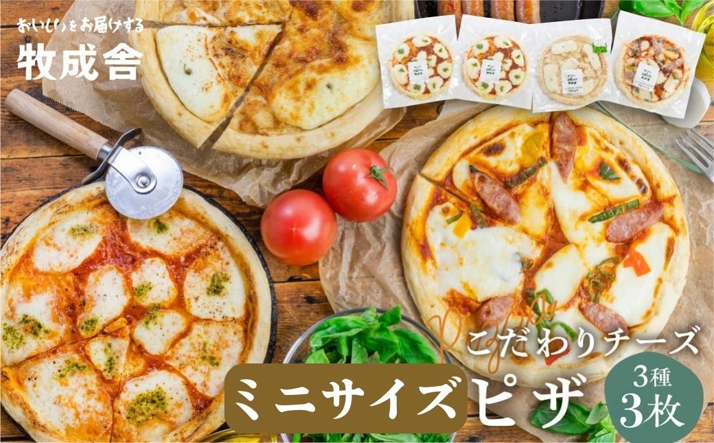 
                  ＜8月から寄附額改定＞【12回定期便】自家製チーズたっぷりミニピザ3種3枚セット(直径19cm) ピザ 冷凍 人気 マルゲリータ 洋風トマト 和風山椒 牧成舎 年内配送 HIDAミルクプロジェクト 定期便 120000円 12万円
                