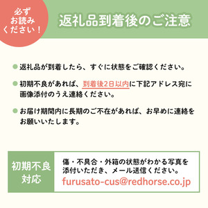 2026年発送 長野市産ネクタリン「サマークリスタル」約4kg 