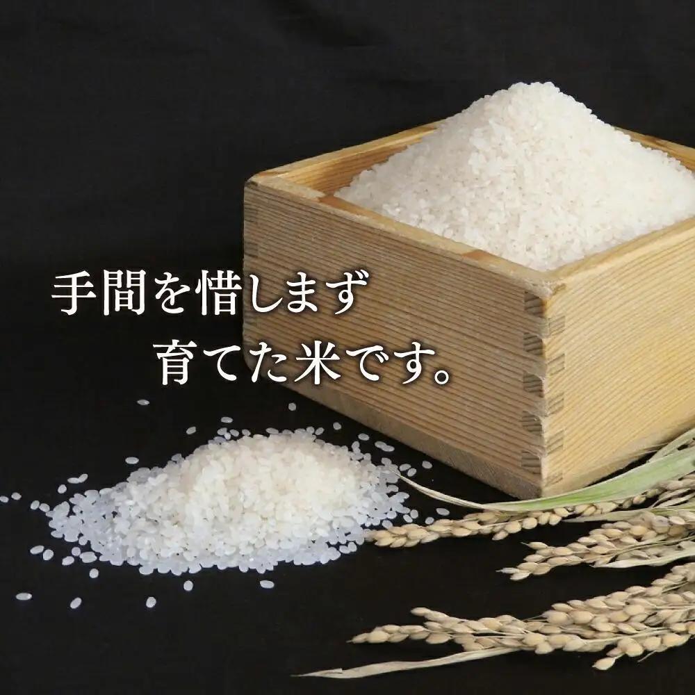 令和7年産　特別栽培米ゆめぴりか　白米5kg ｜ ゆめぴりか_00148