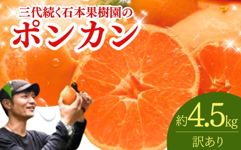 
            【先行予約】訳あり 石本果樹園の美味しい ポンカン 約4.5kg 20～25玉【1月初旬から２月初旬までに順次発送】 / みかん フルーツ くだもの 果物 ポンカン ワケあり 家庭用
          