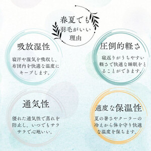 洗える羽毛肌掛け布団シングル日本製　軽量夏用ダウンケット/ダウン90%　北欧柄丸柄ベージュ【1509985】
