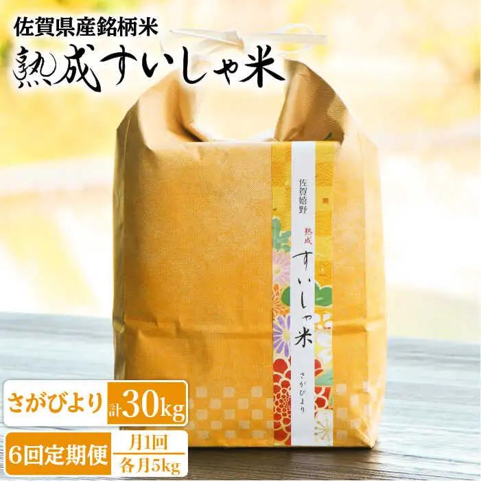【定期便】 白米 さがびより5kg NAO040 全6回 白米
