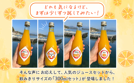 ＜一歩会 ジュエリーボックス ジュース飲み比べセット ミニ 300ml×4本入り＞ 愛媛 果汁 100% ジュース ストレートジュース みかんジュース セット 柑橘 飲料 オレンジ 特産品 渡江から一